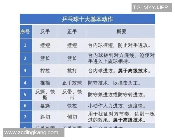 科学乒乓球实力训练方法探讨提升技术与竞技水平的有效策略与技巧