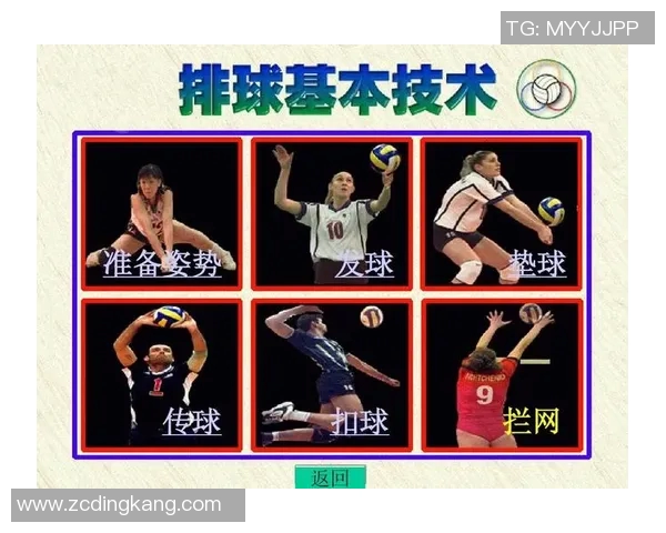 运动数据排球战术深度解析武汉排球队的制胜秘密与训练揭秘